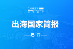 AG公司GO GLOBAL | 巴西国家简报